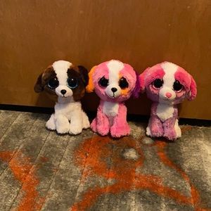 3 pack beanie boo puppies